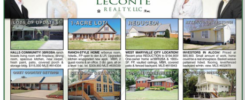 Homes & Land ad layout sample