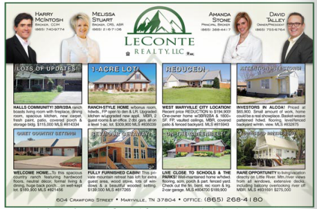 Homes & Land ad layout sample
